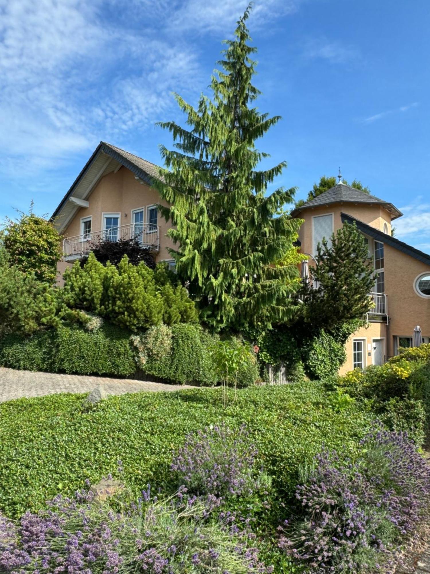 Ferienwohnung Feiden Eifel-Mosel Lounge Greimersburg Extérieur photo